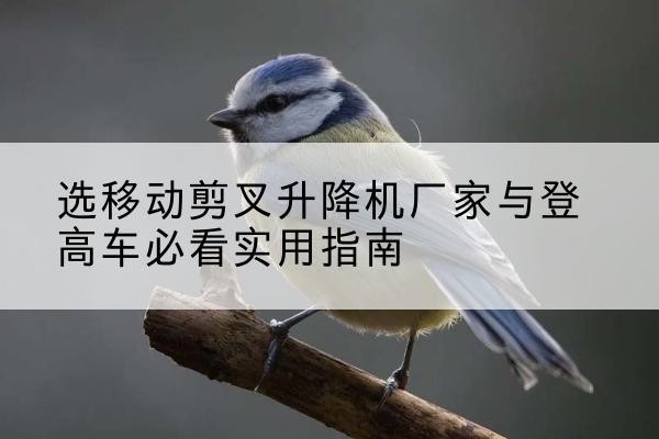 靖江电动升降机厂家-选移动剪叉升降机厂家与登高车必看实用指南