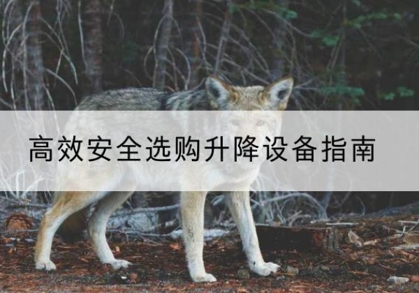 靖江升降货梯厂家推荐-*安全选购升降设备指南