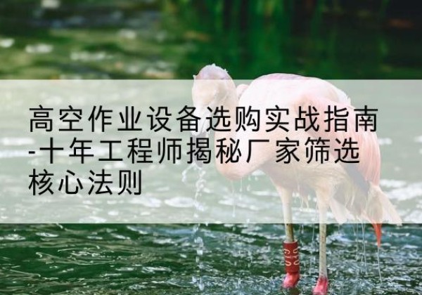 靖江剪叉式升降机厂家-高空作业设备选购实战指南-十年工程师揭秘厂家筛选核心法则